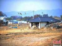 宿迁智贝商贸有限公司