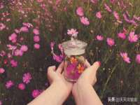宿迁智贝商贸有限公司