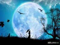 宿迁智贝商贸有限公司