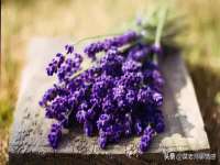 宿迁智贝商贸有限公司