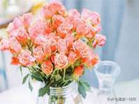 宿迁智贝商贸有限公司