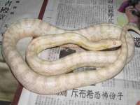 宿迁智贝商贸有限公司
