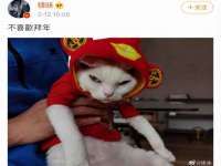 宿迁智贝商贸有限公司