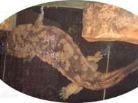宿迁智贝商贸有限公司