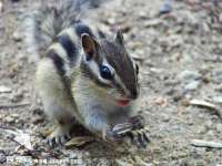 宿迁智贝商贸有限公司