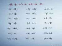 宿迁智贝商贸有限公司